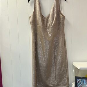 Ronni Nicole Elegant Beige Dress